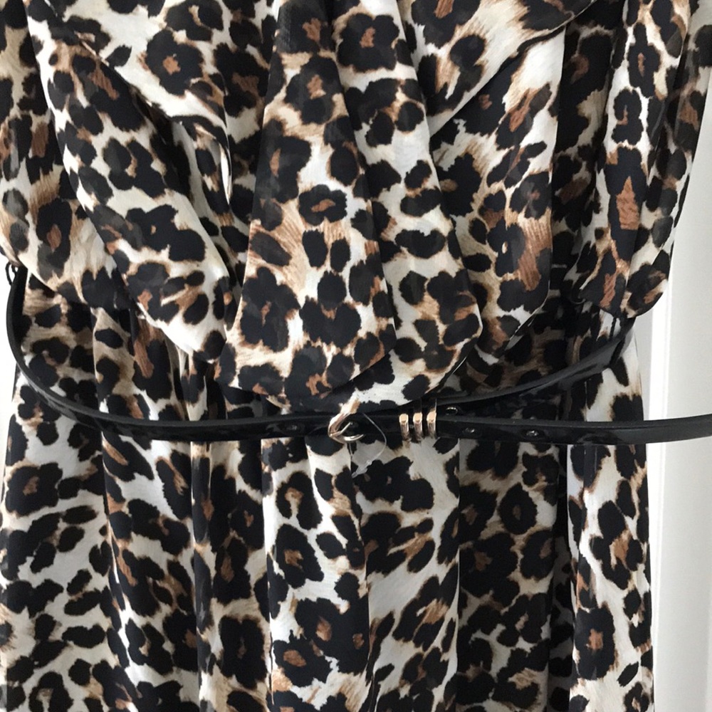 🆕 Leopard Print Dress - Picture 3 of 5